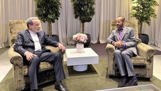 שר החוץ של עומאן בדר אל בוסעידי נפדש עם שר החוץ של איראן עבאס עראקצ'י ב ז'נבה שיחות מו"מ  לא ישירות מול ארה"ב