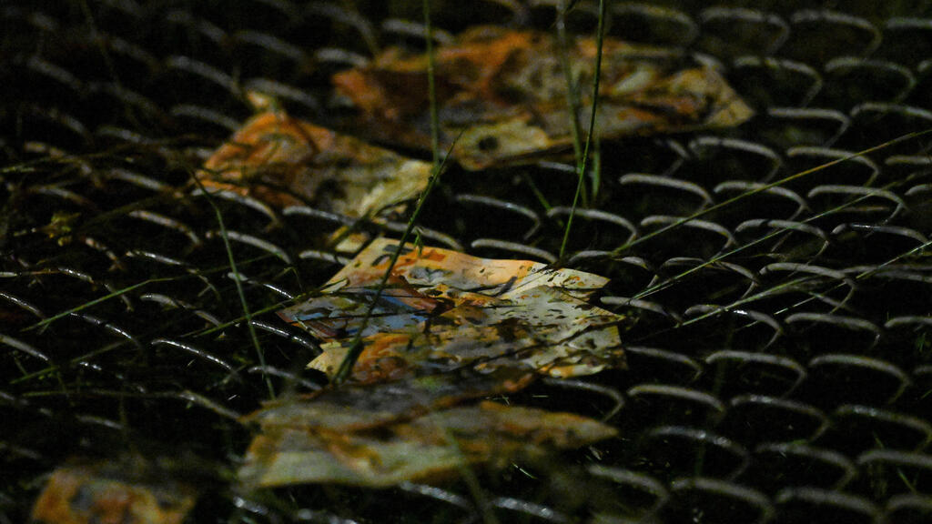 Some of the banknotes transported on the plane (Photo: Reuters, Claudia Morales) תיעוד מזירת ההתרסקות בבוליביה