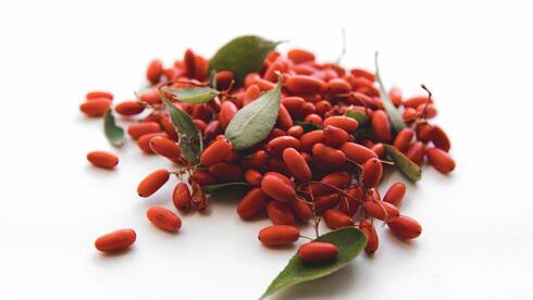 ברברית מצויה. "הצמח מסייע בשיפור הרגישות לאינסולין ובהפחתת רמות הגלוקוז בצום"