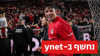 צ'יקו אלאבס