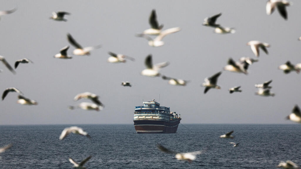 ציפורים עפות ב מיצרי הורמוז