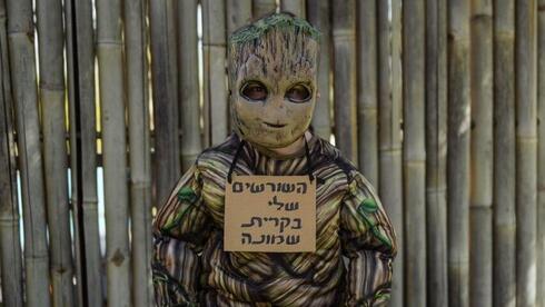 עמיחי אלפיה (7) מקריית שמונה 