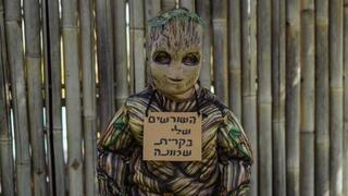 עמיחי אלפיה (7) מקריית שמונה 