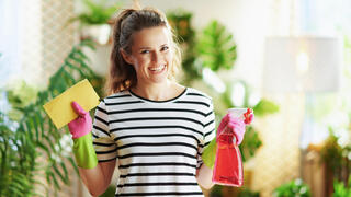 ניקיון לפסח