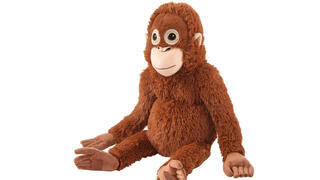 הקוף הפרוותי המפורסם בעולם כרגע, DJUNGELSKOG