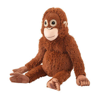 הקוף הפרוותי המפורסם בעולם כרגע, DJUNGELSKOG