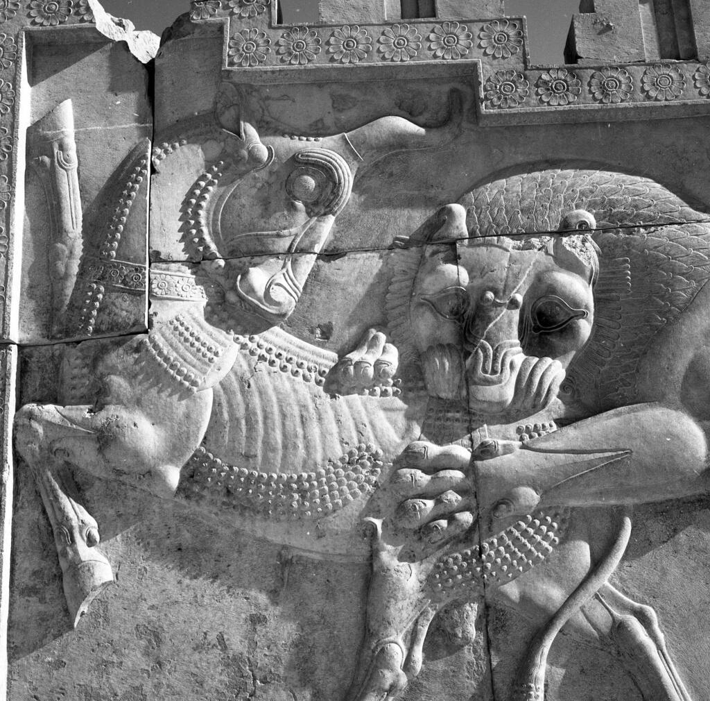 תבליט עתיק של אריה טורף שור בפרספוליס