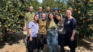 ילדים מסייעים לחקלאים בזמן מבצע "שאגת הארי"