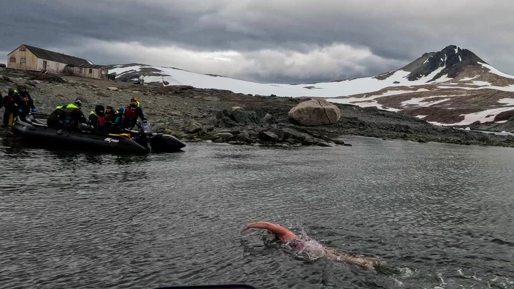 שני שוחה במים הקפואים של אנטארקטיקה