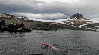 שני שוחה במים הקפואים של אנטארקטיקה