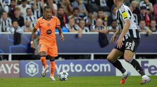 ראפיניה מתקדם