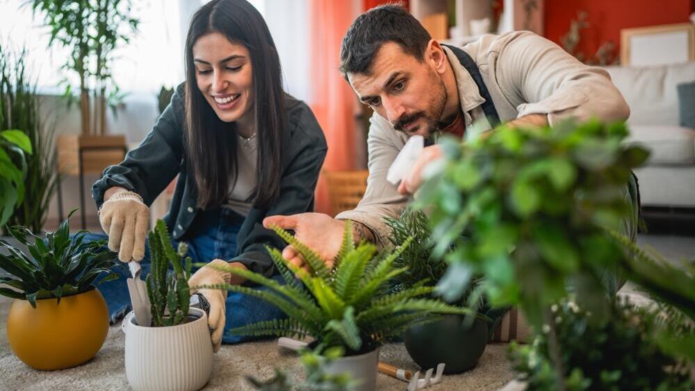  Уход за растениями снимает стресс - доказано 