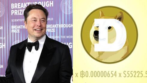 דוז'קוין, אילון מאסק