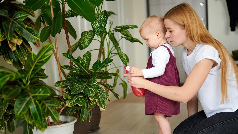 Фото: shutterstock