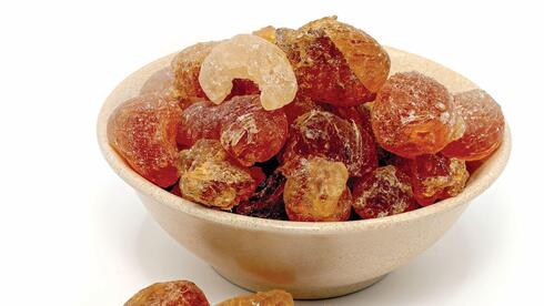 שיטה סנגלית. הסיב מתפרק באיטיות ולכן מונע תסמינים של מעי רגיז