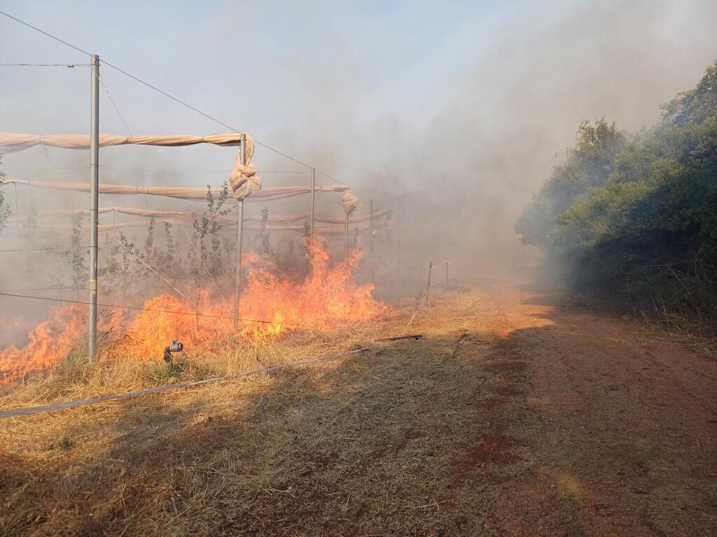 Burning orchards in the north