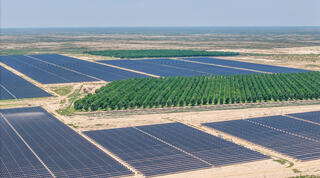תחנת הכוח הסולארית סיירה בוניטה של אשטרום בטקסס, ארה"ב