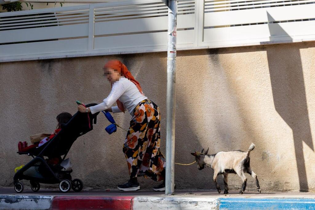 גדי בבני ברק, כפי שתועד בפורים