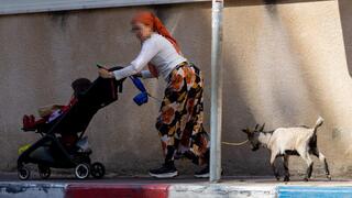 גדי בבני ברק, כפי שתועד בפורים