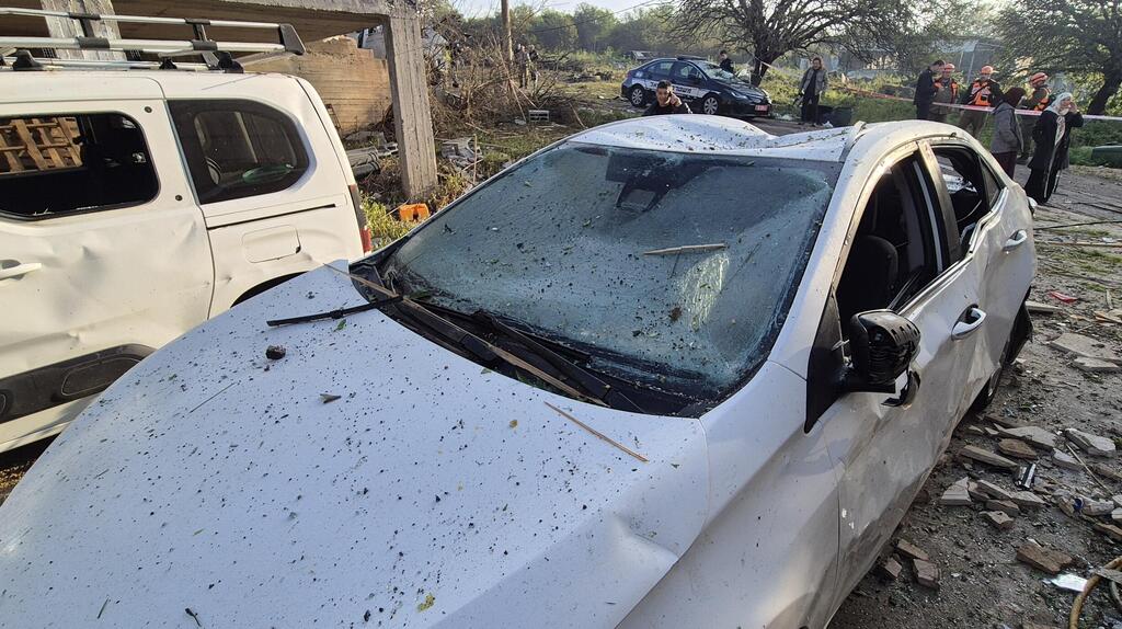 הנזק בזרזיר