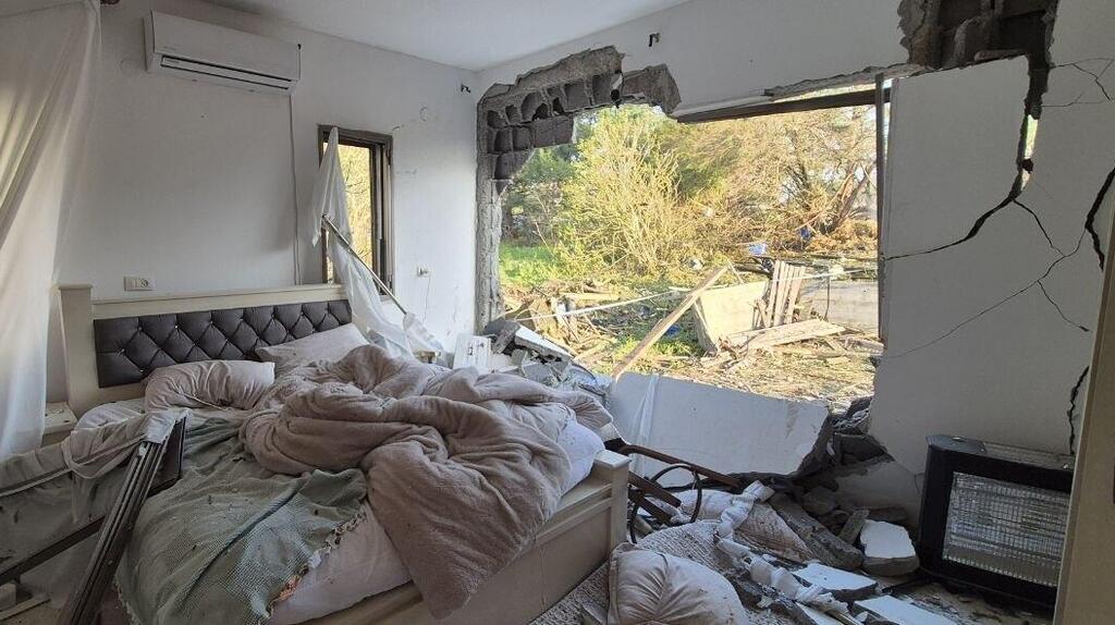 נזקי הפגיעה בזרזיר