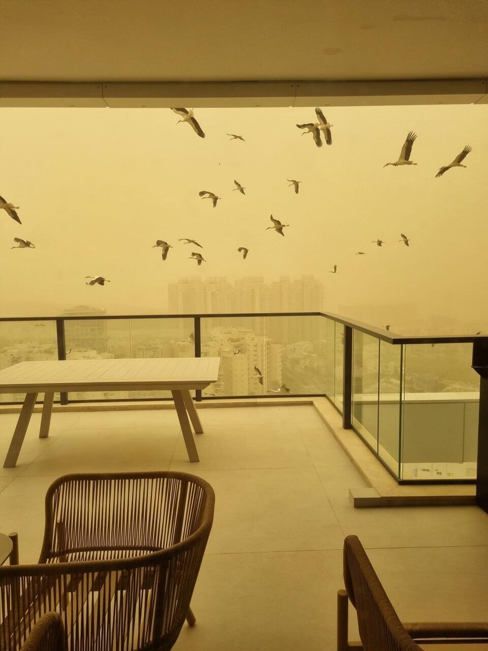 אובך בבת ים וראשון לציון