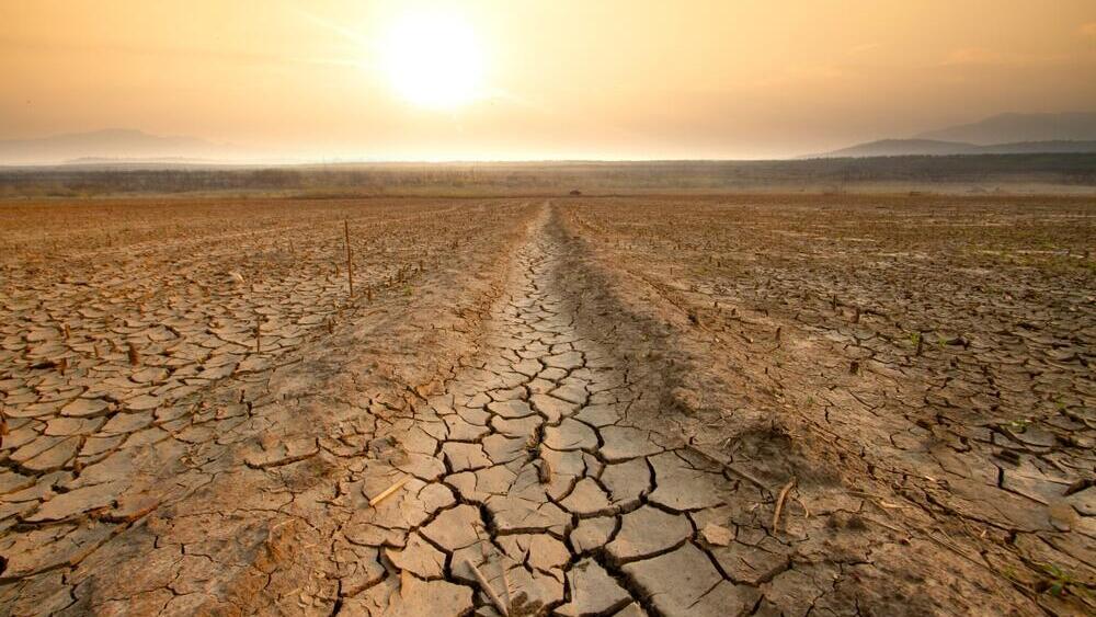 Even during droughts, data centers consume enormous amounts of water (Photo: Piyaset/Shutterstock) תנאי בצורת