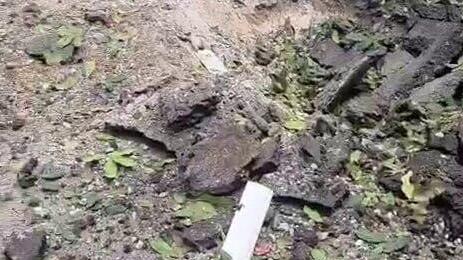 זירת נפילה בראשון לציון