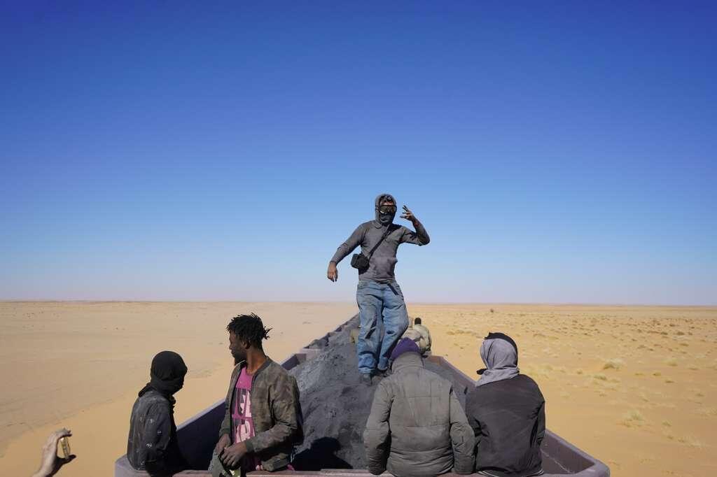 טל דורק אלוני