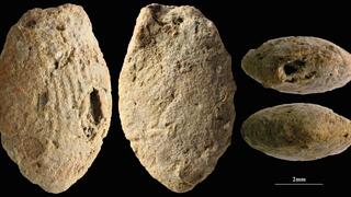 חרוז חימר בצורת פרפר מהתקופה הנאטופית המאוחרת