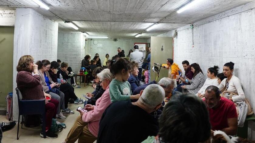 Иллюстрация: vladi_konov, shutterstock