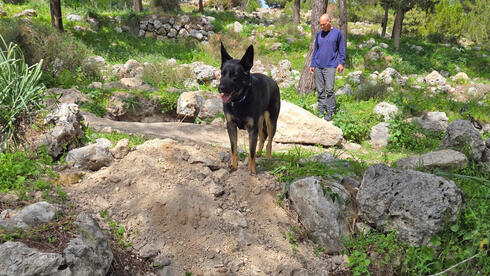 ההרס שגרמו החשודים באתר העתיקות