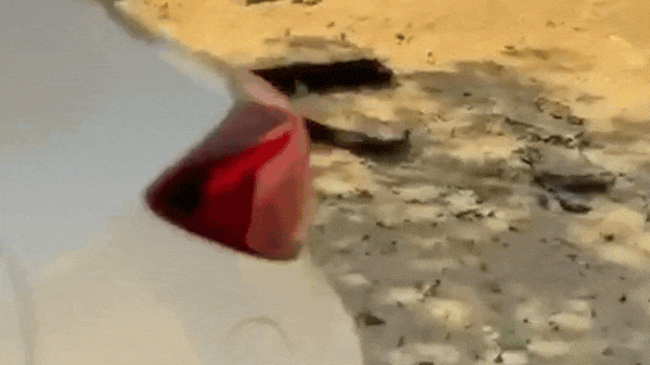 נפילה בחולון