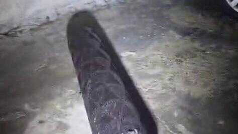 3 פלסטיניות נהרגו מהטיל האיראני בסלון יופי ליד חברון