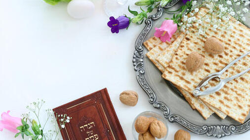 Фото: shutterstock