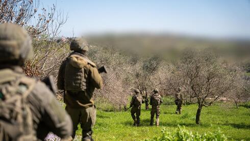 פעילות כוחות חטיבה 300 במרחב דרום לבנון