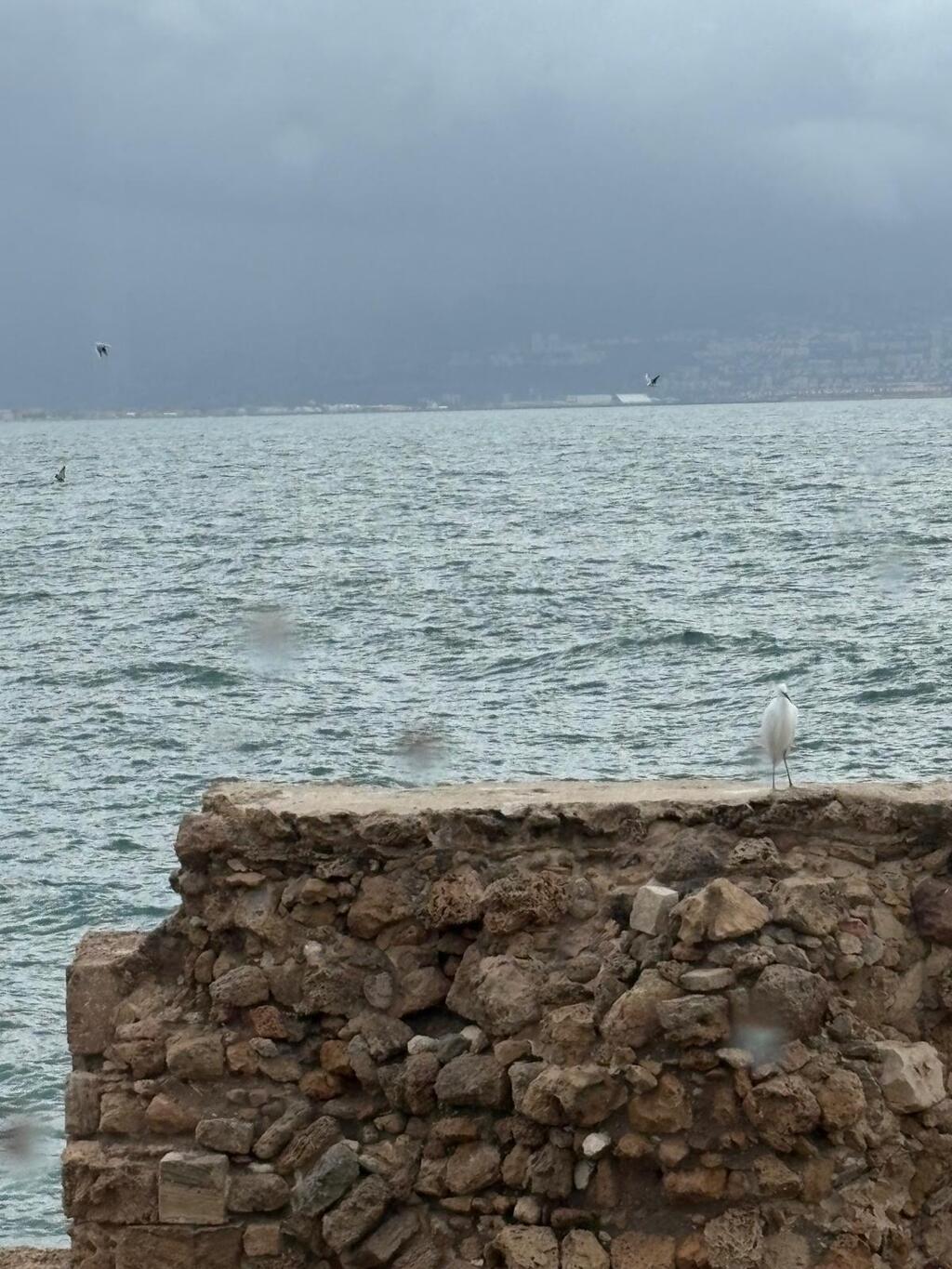 Mahmoud's view (Photo: Assi Haim) על הספה- משפחת חלוואני עכו