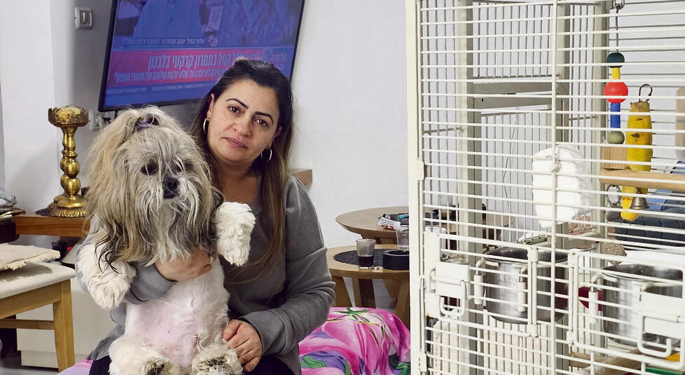 אלין בן שטרית, קריית־שמונה