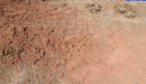 זירת נפילה במגרש כדורגל ברחובות