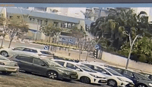 תיעוד הפגיעה בגן בראשון לציון