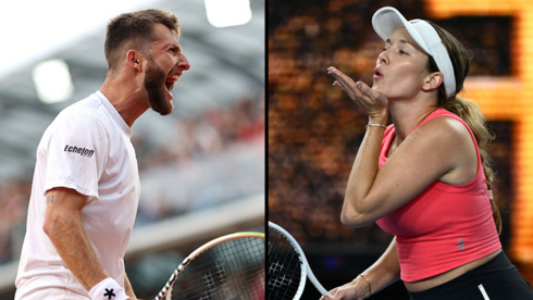 קולינס ומוטה