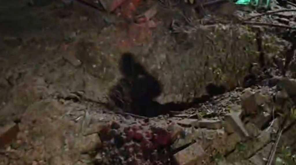 בור באחת הזירות במרכז