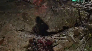 זירת נפילה בגת רימון