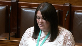 המיגוניות שהוכנסו לאצטדיונים