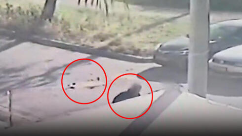 תושבי ראש העין רצים למקלט בין רסיסים