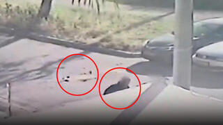 תושבי ראש העין רצים למקלט בין רסיסים