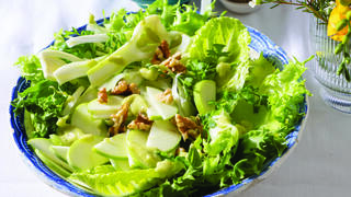 סלט ירוק ברוטב אבוקדו