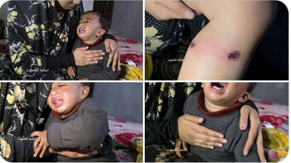 הפעוט העזתי שנעצר לכאורה