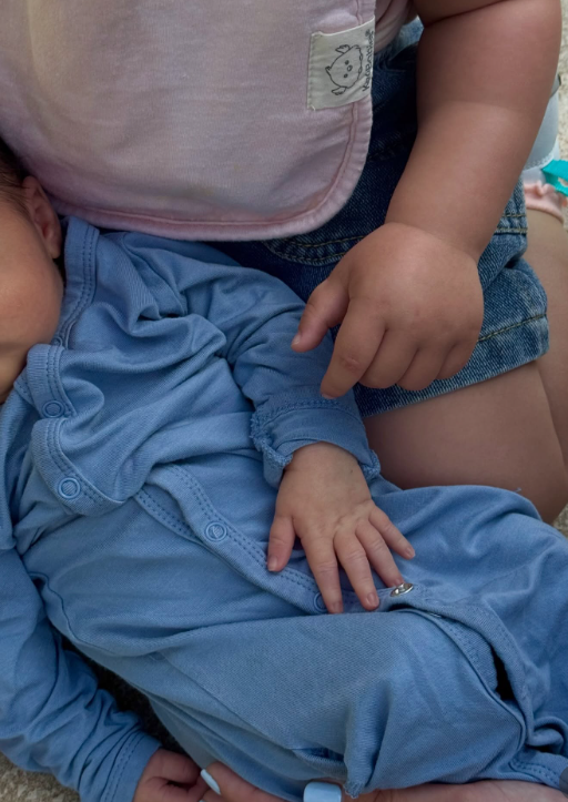 סופיה ריצ'י