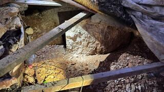  סיכול חוליית טרור שמזדהה עם חמאס